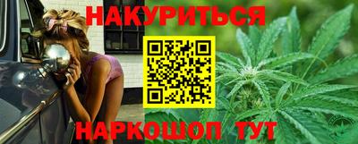 прущие грибы Краснодар