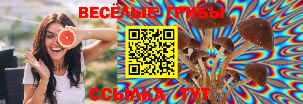 Галлюциногенные грибы MAGIC MUSHROOMS  Вход с VPN  Псилоцибиновые грибы MAGIC MUSHROOMS  Иваново 